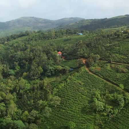 Affittacamere Tea Haven By Yathroam Vagamon Esterno foto